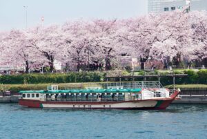 Cherry Blossom Sightseeing River Boat Experience on the Sumida River in Tokyo