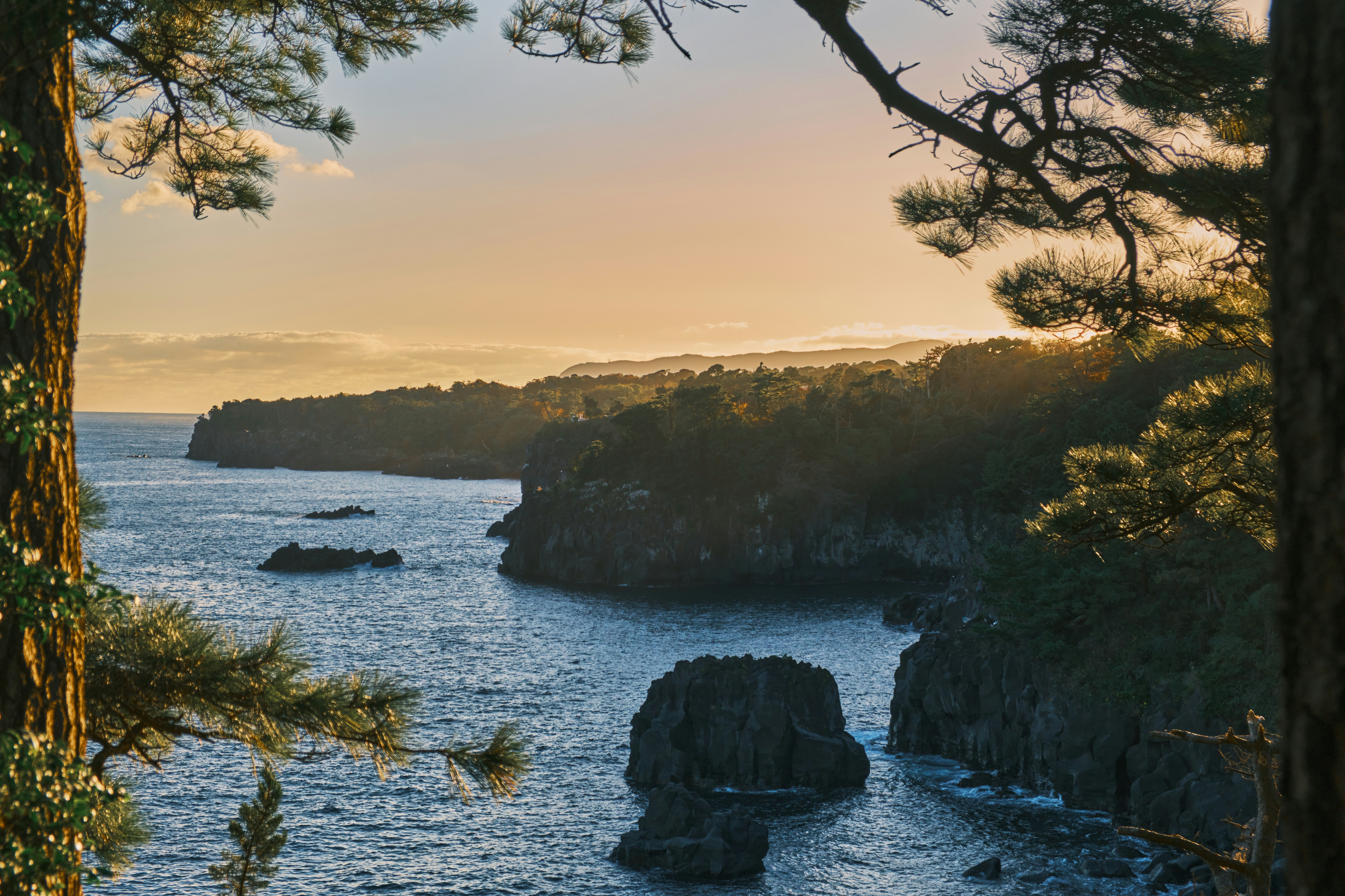 Marine Day in Japan: How a nation honors The Ocean