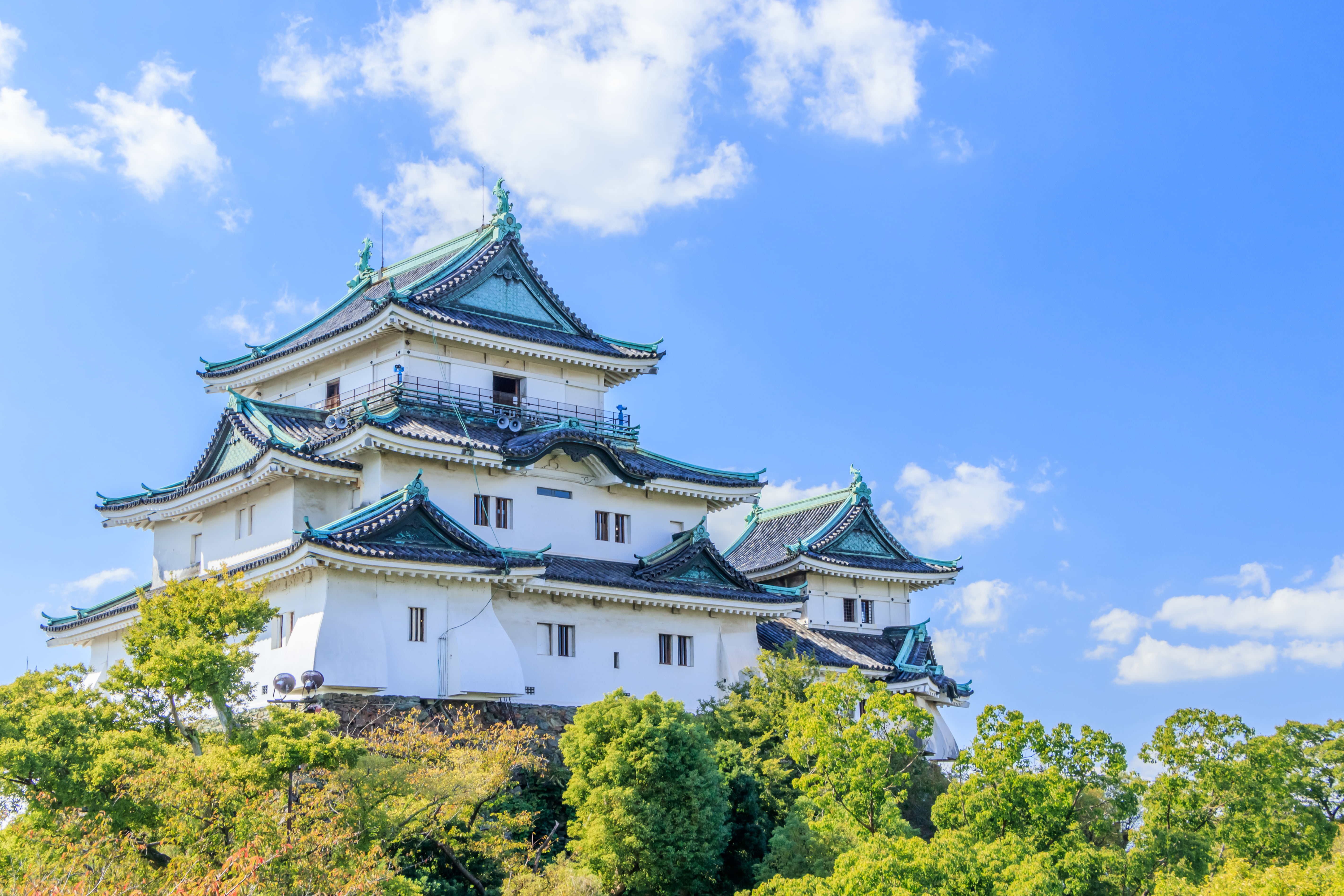Wakayama Custom Day Tour
