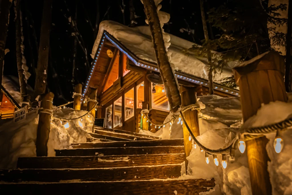Furano Custom Day Tour