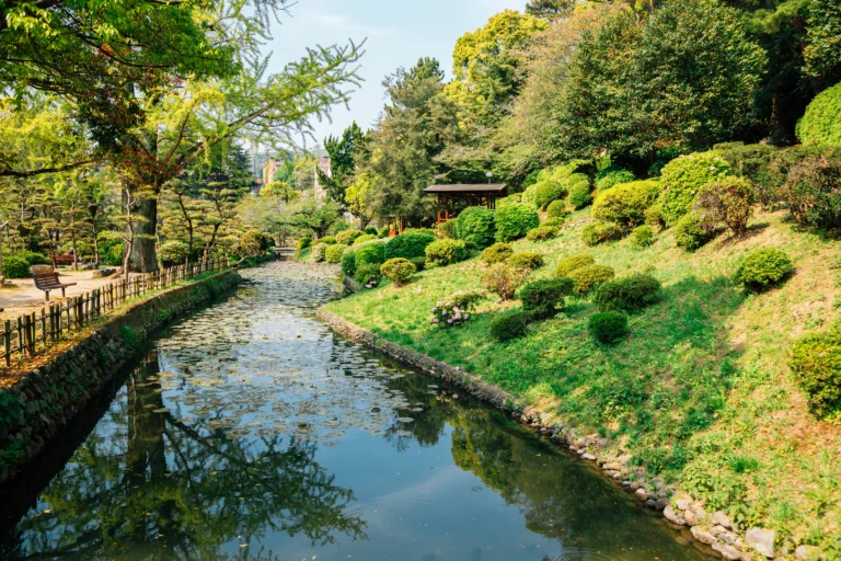 Matsuyama Custom Day Tour