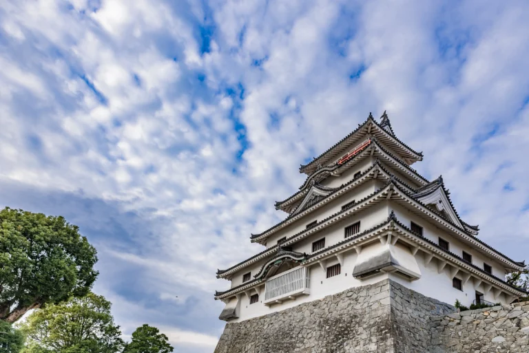 Karatsu Custom Day Tour