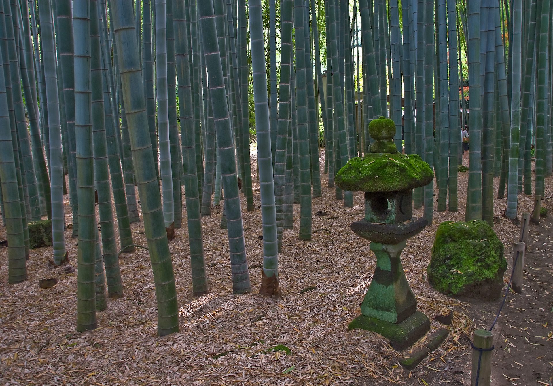 Hokokuji Temple