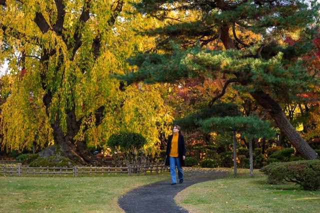 Fujita Memorial Garden
