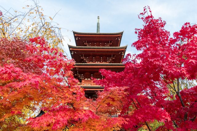Saisho-in Temple