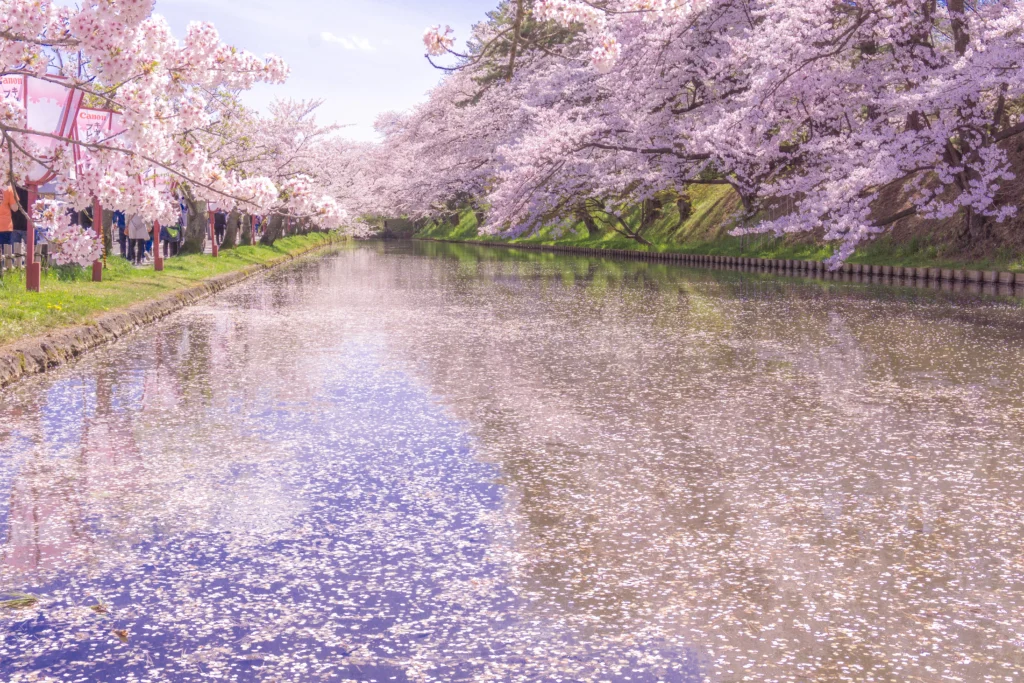 Hirosaki Custom Day Tour