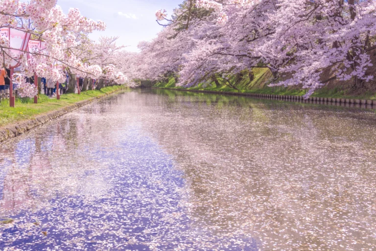 Hirosaki Custom Day Tour