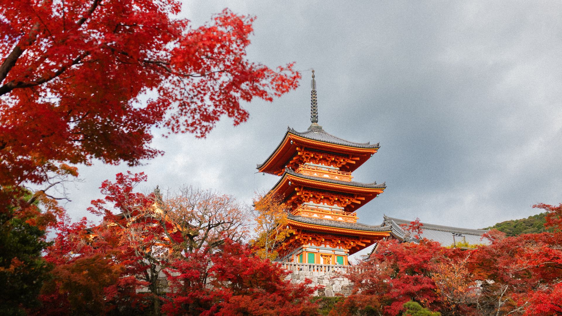 Japan Autumn & Winter Illuminations Discovery Tour (12 Days)