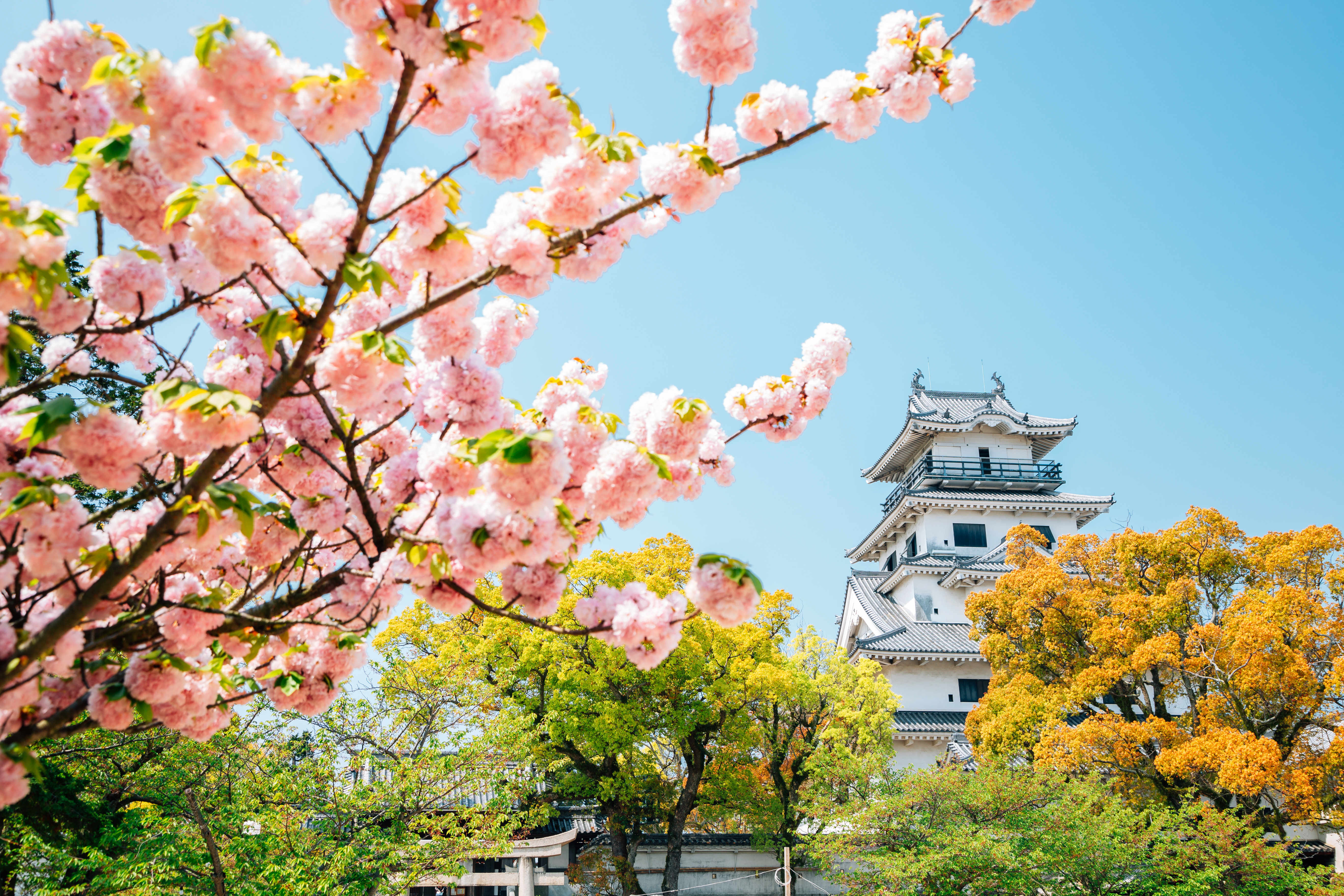Imabari Castle in Ehime, Shikoku, Japan