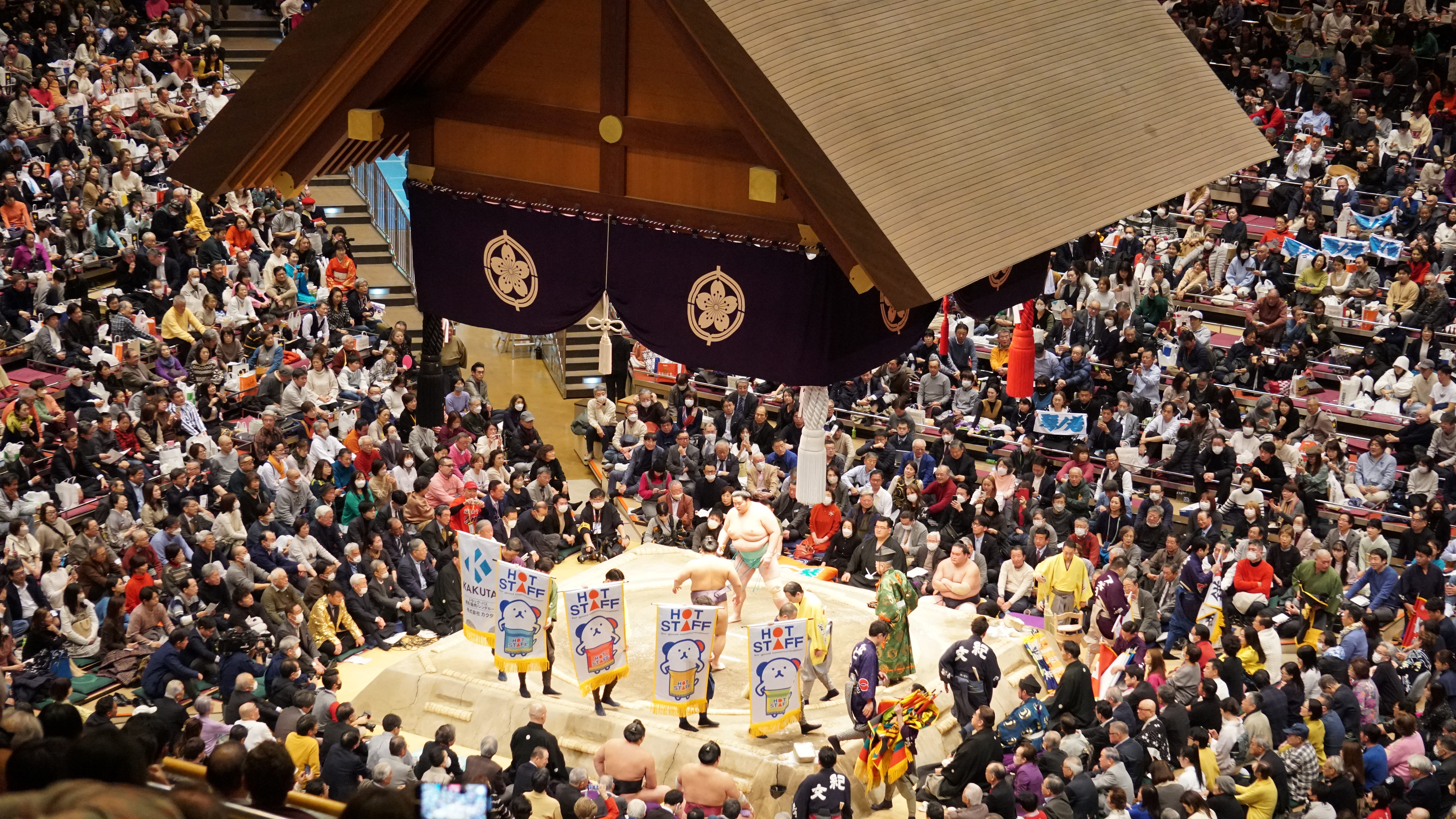 Sumo Tournament Experience in Tokyo
