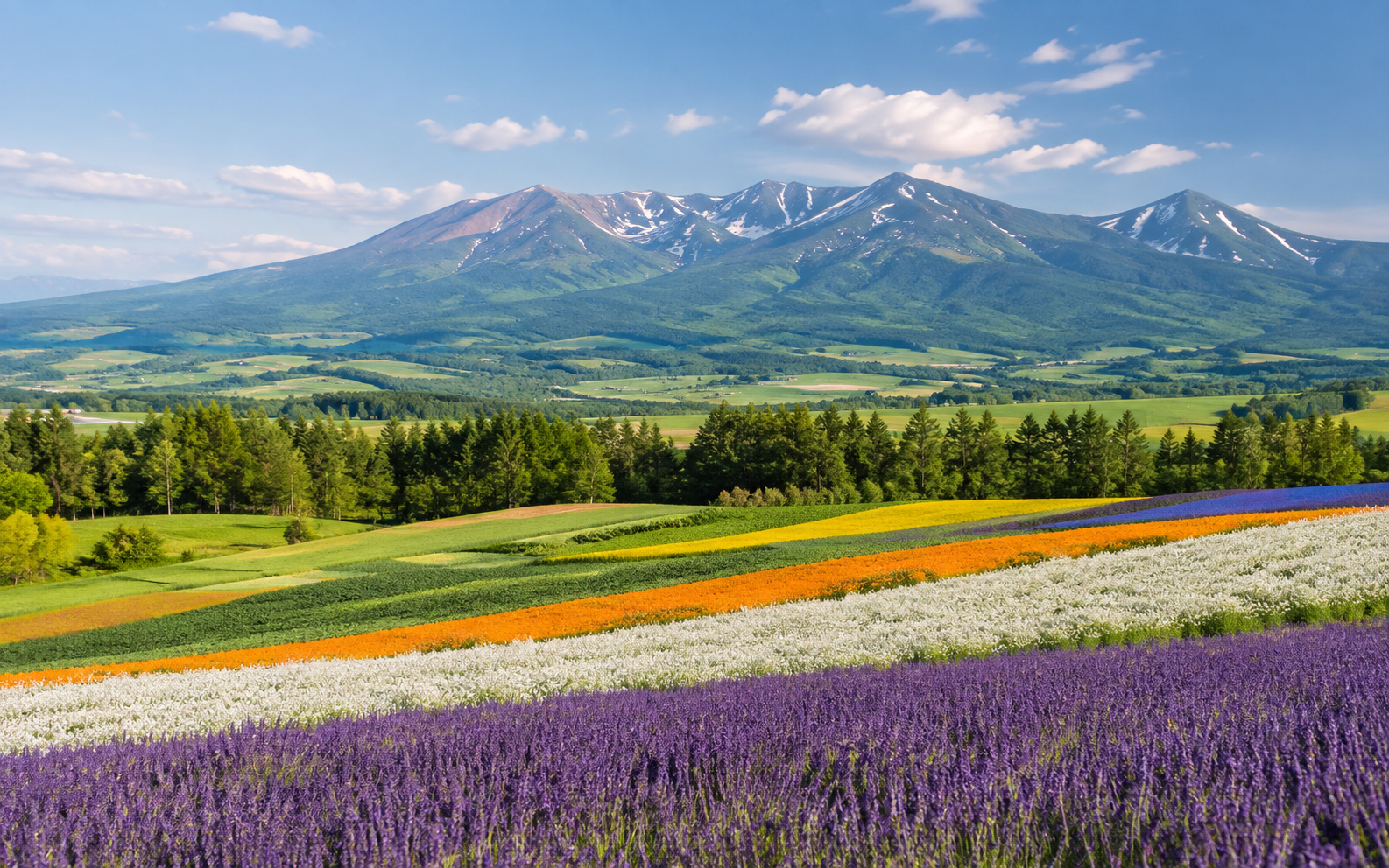 Biei in Hokkaido, Japan