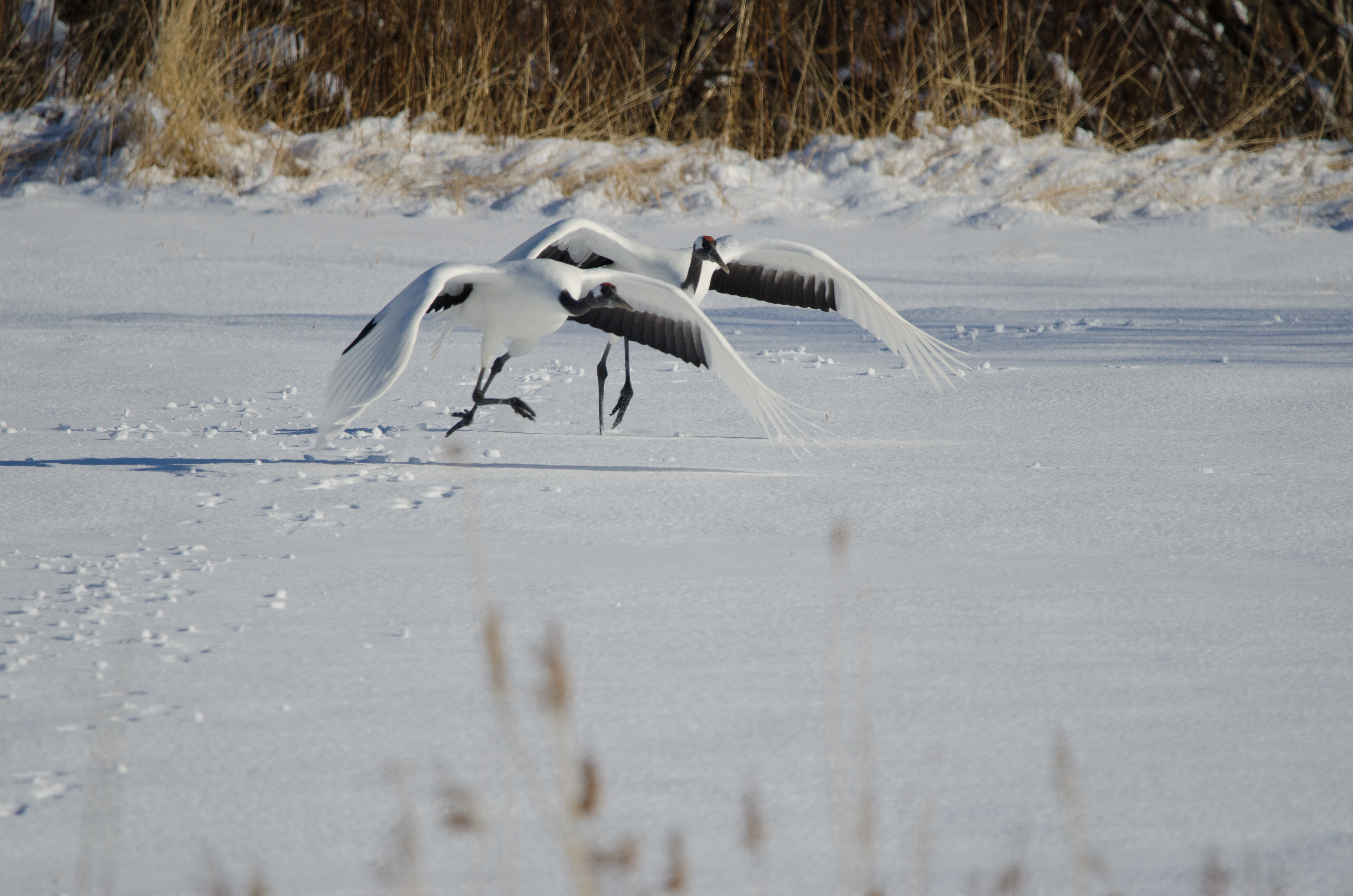 Kushiro in Hokkaido, Japan