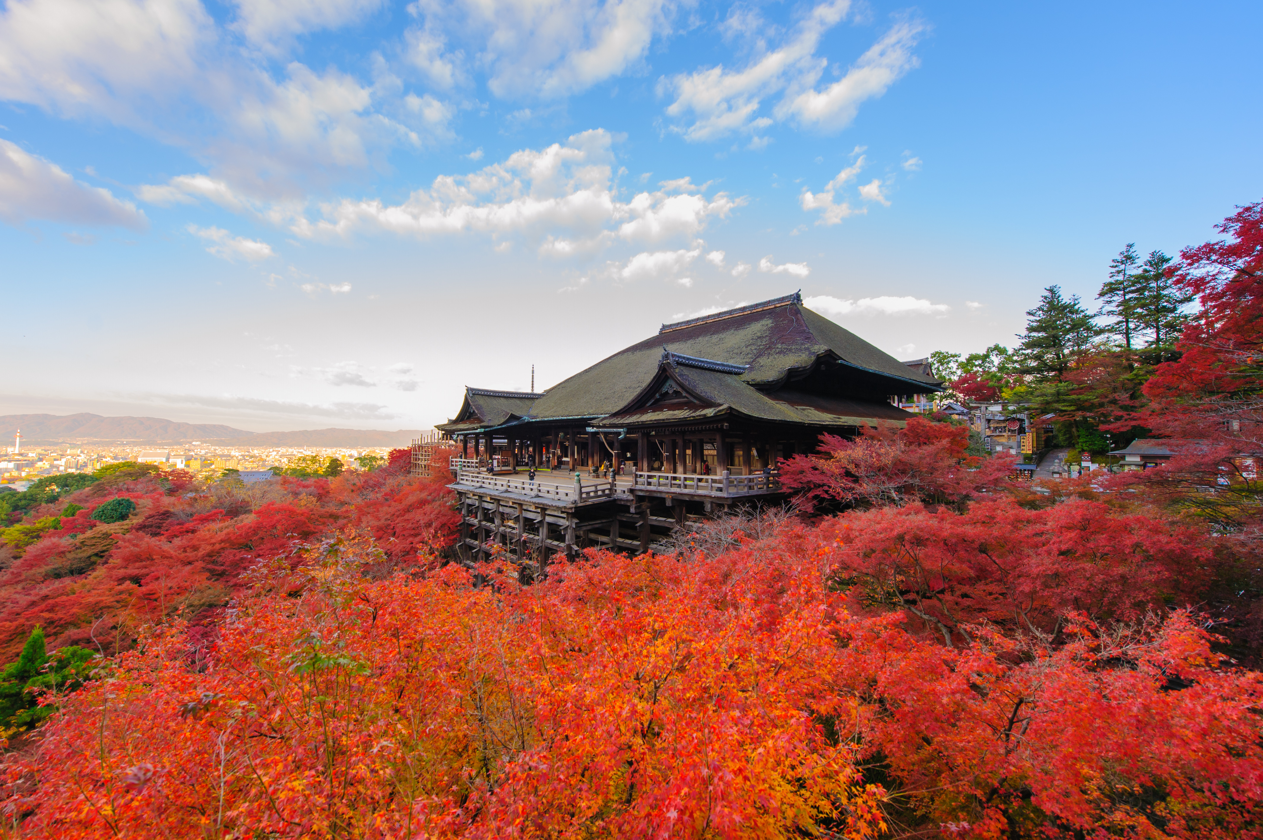 Kiyomizu-dera with autumn leaves in Kyoto, Japan
