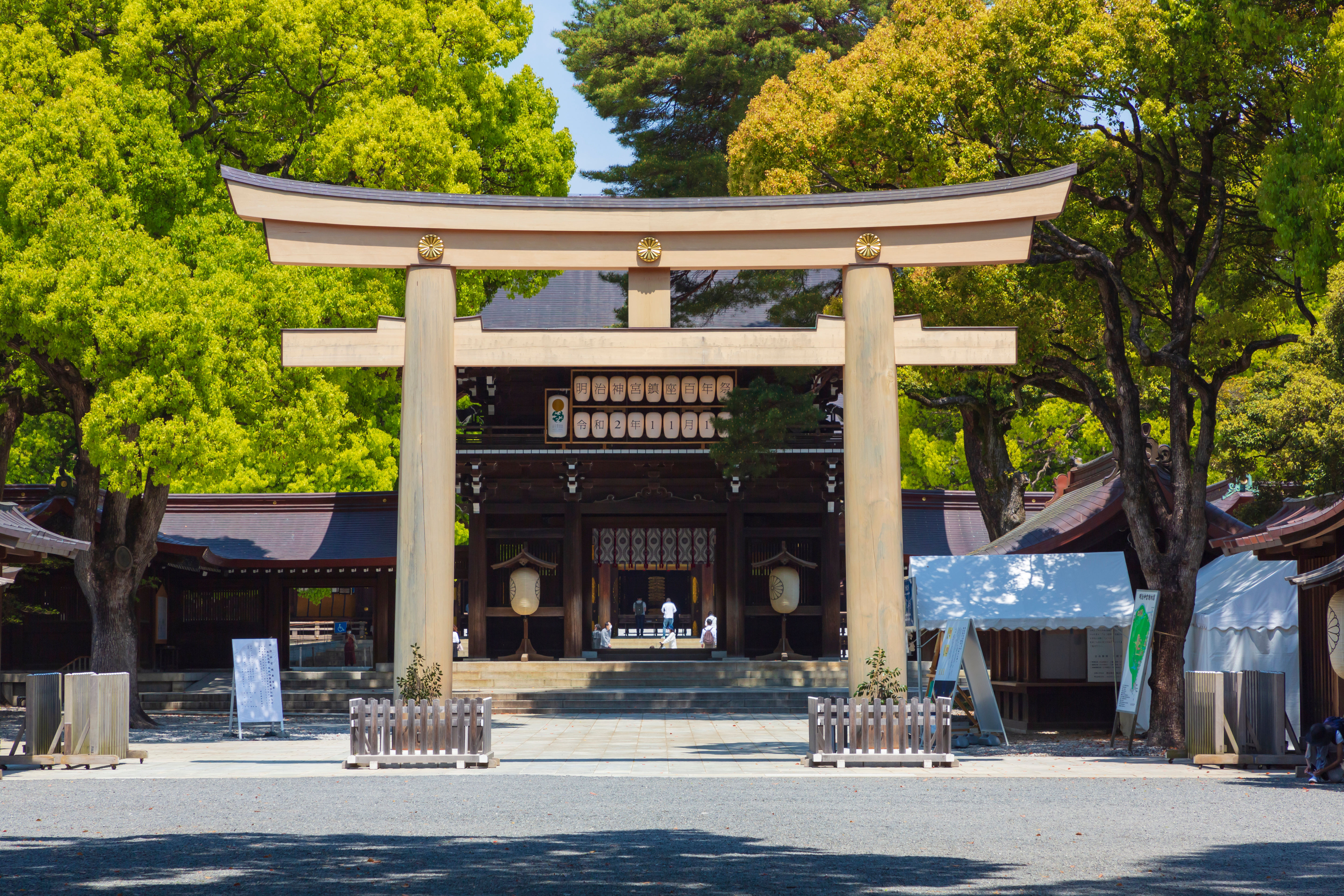 Private Shinto Shrine Tour