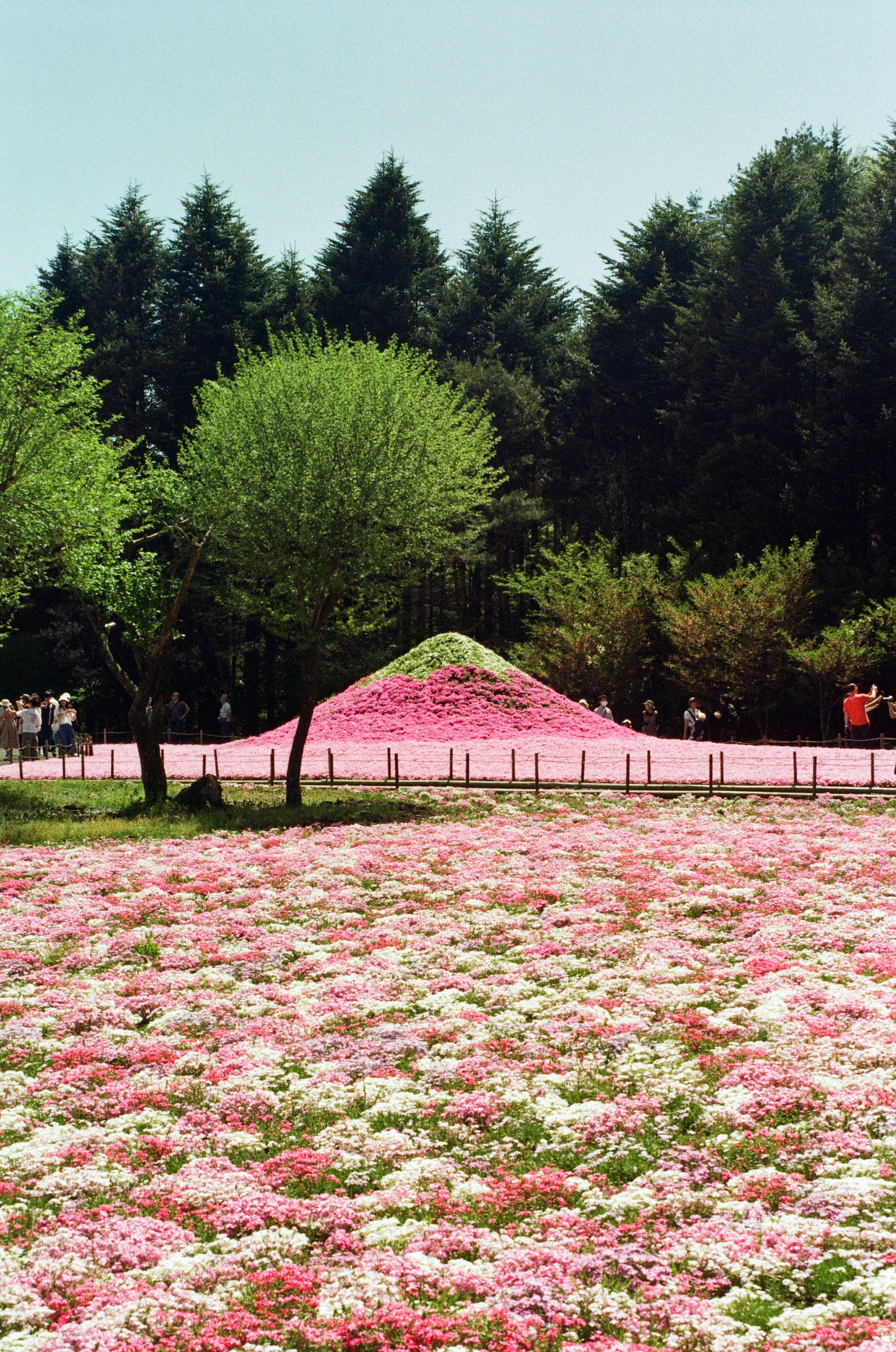 Mount Fuji landscape in Fujinomiya, Shizuoka, Japan