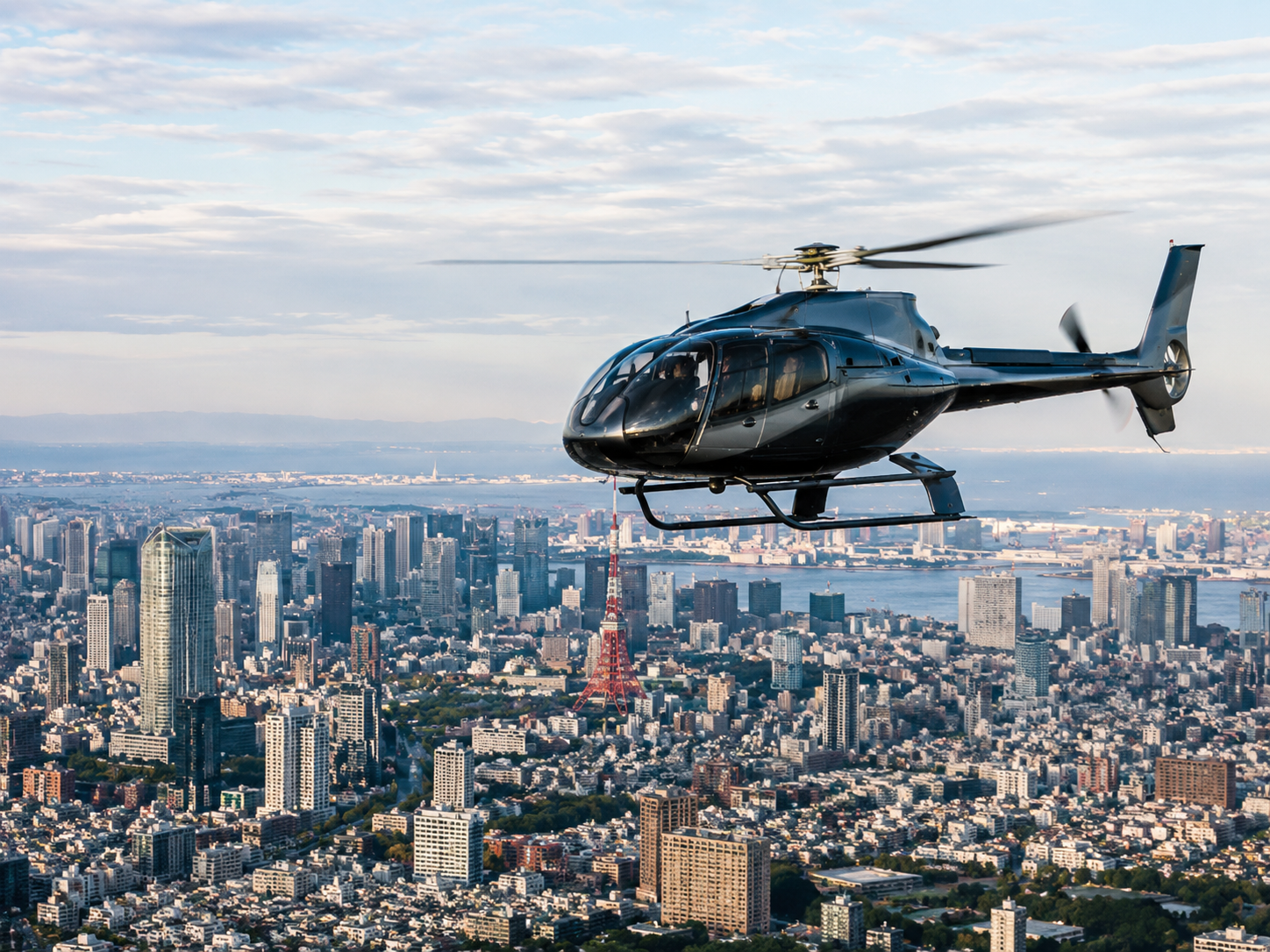 Helicopter tour over Tokyo
